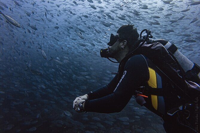 Scuba Diving - Final Thoughts