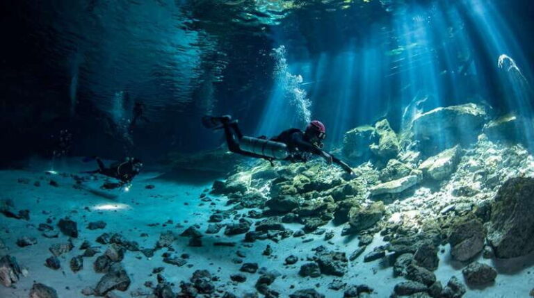 Scuba in 2 cenotes in a half-day - FAQ: Your Top Questions Answered