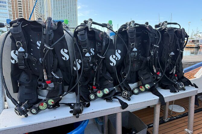 Scuba Reef Dive in Waikiki with One Tank - The Value and Practicalities