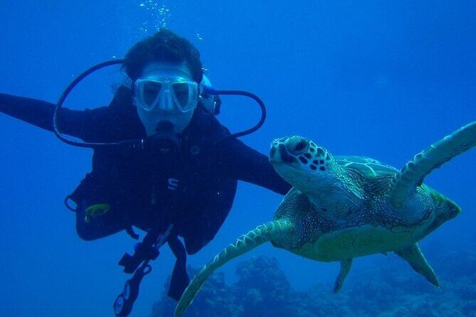 Scuba Referral Dives & Beach Club with Transportation In Riviera Maya - Why This Tour Delivers Great Value