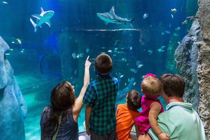 SEA LIFE Aquarium Arizona Admission Ticket - The Sum Up