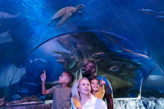 SEA LIFE Aquarium Minnesota Admission Ticket at Mall of America - Who Should Consider Visiting?