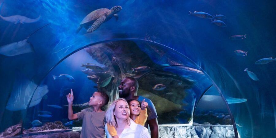 SEA LIFE Arizona Aquarium General Admission - Final Thoughts: Who Should Visit?