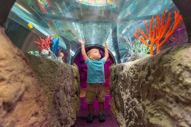 Sea Life Charlotte Concord Aquarium Admission Ticket - The Itinerary Breakdown