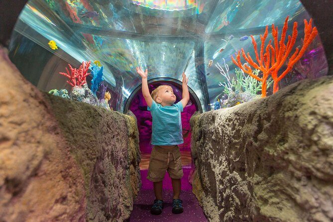 SEA LIFE Michigan Aquarium Admission Ticket - Final Thoughts