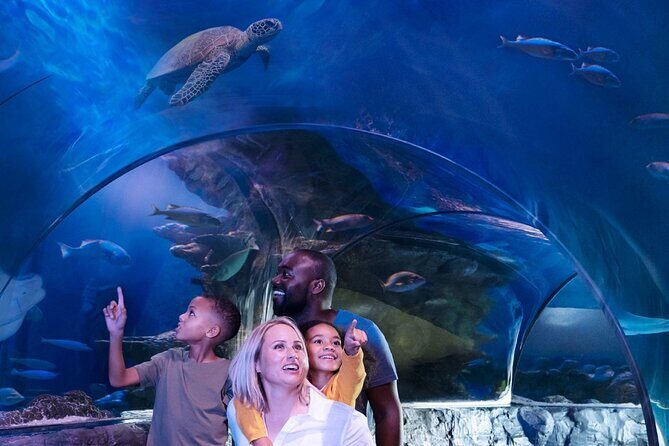 SEA LIFE New Jersey at American Dream - Key Points