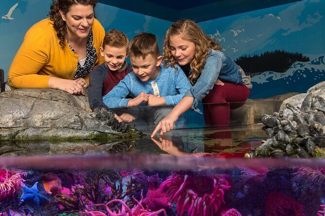 SEA LIFE Orlando Aquarium - Practical Considerations
