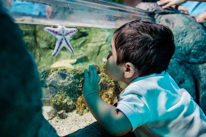 SEA LIFE San Antonio Admission Ticket - What You Can Expect: Practical Details