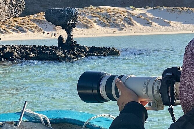 Sea Lions & Mega-Paddleboard Tour in Balandra - What Sets This Tour Apart?