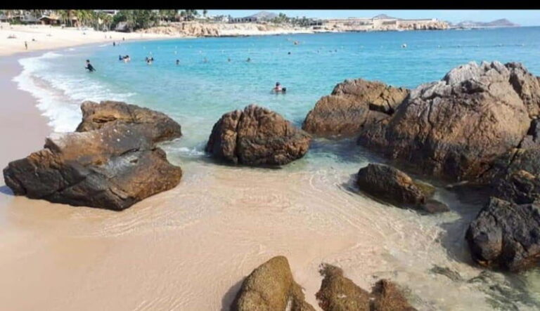 Sea of Cortez: Unforgettable Snorkeling Experience - Who Will Love This Tour?