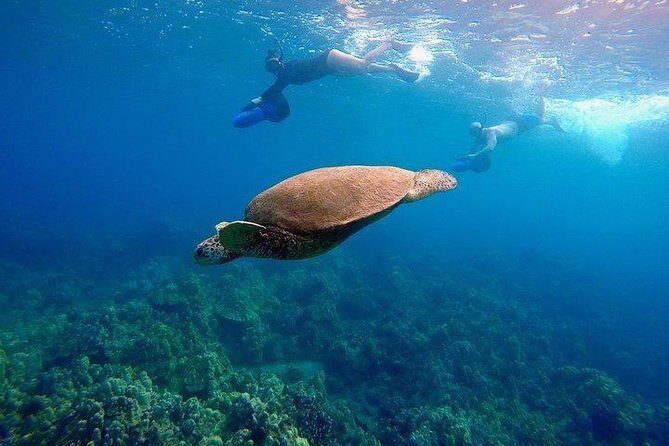 Sea Scooter Snorkeling Guided Tour - Turtle Town - Why This Tour Is a Great Choice for Maui Visitors
