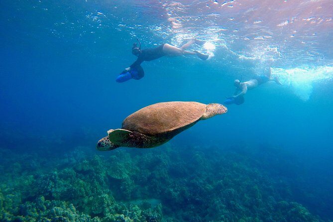 Sea Scooter Snorkeling Guided Tour - Wailea Beach - What Makes This Tour Special?