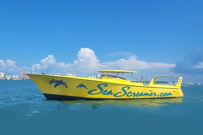 Sea Screamer Clearwater's Only Speed Boat Dolphin Watching - The Sum Up: Who’s It Best For?