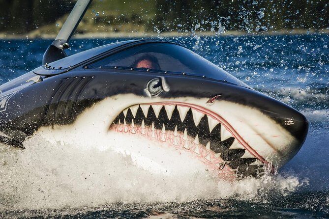 Seabreacher Ride in Cancun - The Experience: A Deep Dive into the Ride