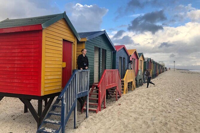 Seal Island,Cape of Good Hope&Penguins Shared Tour,From Cape Town - The Sum Up: Is This Tour Worth It?