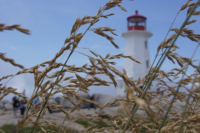 Seascape Excursions of Nova Scotia - Additional Considerations and Tips