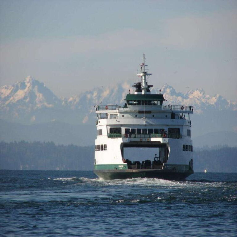 Seattle: Bainbridge Island E-Bike Tour - The Bikes and Equipment