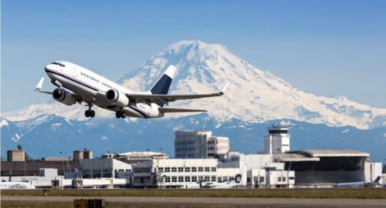 Seattle: Cruise Port City Sightseeing Tour - What The Reviews Say