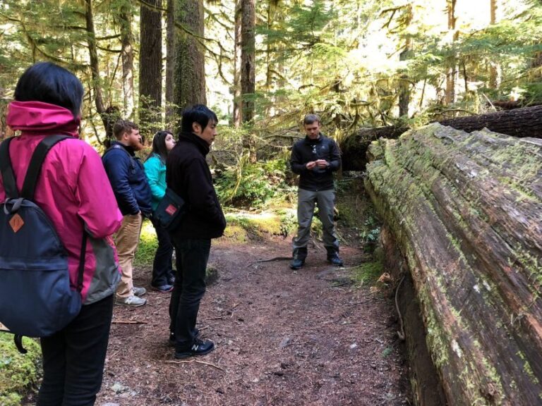 Seattle: Longmire in Mount Rainier Winter Day Tour - Why This Tour Offers Great Value