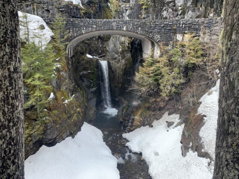 Seattle: Mt. Rainier Hiking w/ Waterfalls, Glaciers & Trees - The Scenic Highlights and What They Mean for You