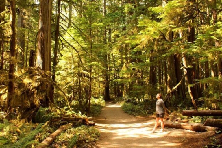 Seattle: Olympic National Park Small-Group Tour - Why Guides Matter: Knowledge and Personal Touch