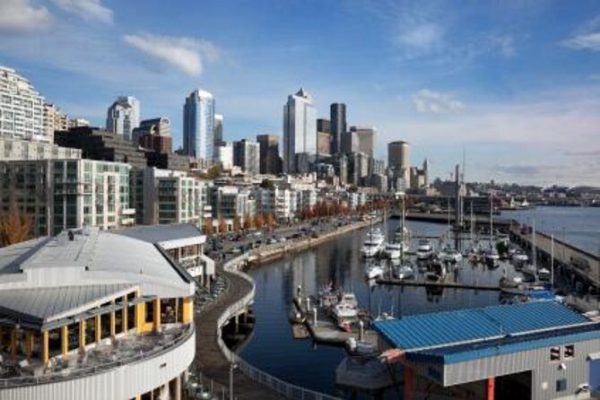 Seattle Pre-Cruise Tour: Transportation & Seattle City Tour - Who Should Consider This Tour?