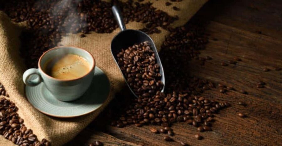 Seattle: Roasted in Seattle Ultimate Coffee Tour - The Guide & Experience Quality