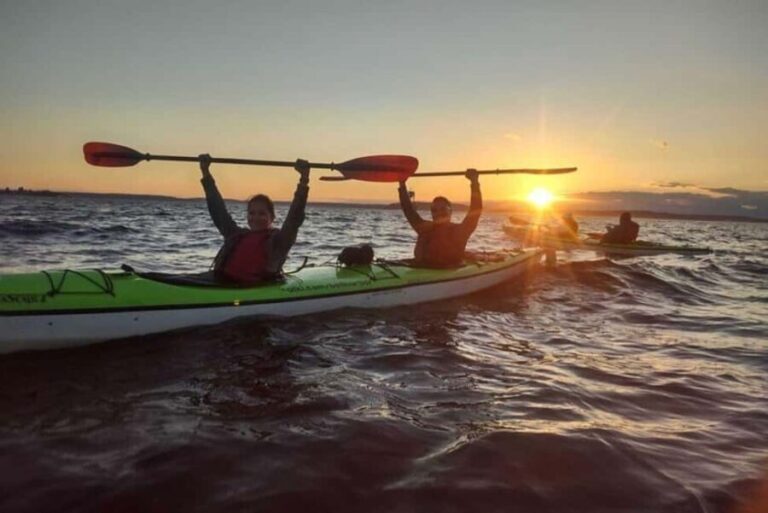 Seattle: West Seattle Sunset Sea Kayak Tour - Who Will Love This Tour?