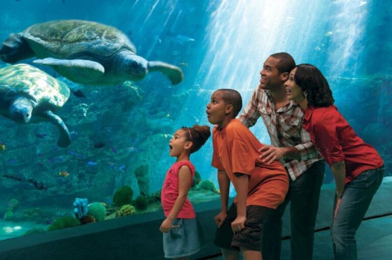 SeaWorld Orlando: Park Admission Ticket - Authentic Experiences from Visitors