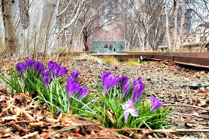 Secrets of the High Line - What Makes This Tour Valuable?