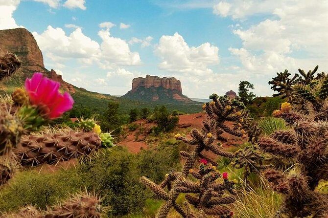 Sedona Day Trip from Phoenix - Who Should Consider This Tour?