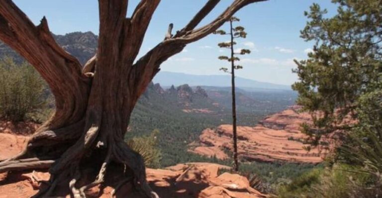 Sedona: PRIVATE 2-Hour Colorado Plateau Scenic Jeep Tour - Why Choose a Private 2-Hour Jeep Tour?
