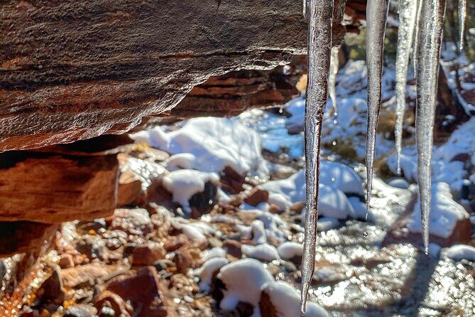 Sedona Sneak-a-Peak Hike With a Private Guide - The Guide: A Highlight of the Tour