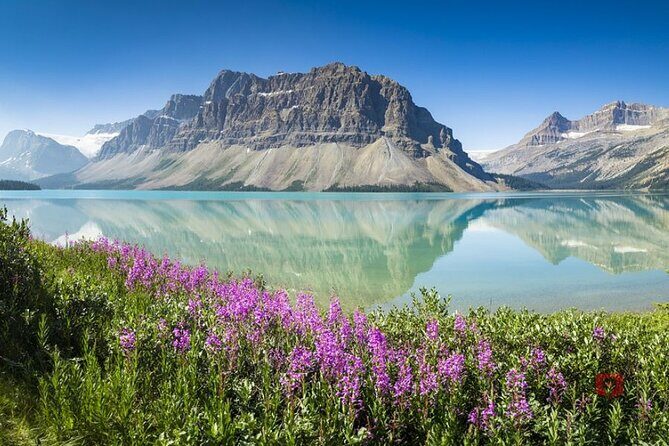 Self-Guided Audio Driving Tour in Icefields Parkway - FAQ