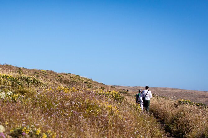 Self-Guided Audio Driving Tour of Point Reyes National Seashore - The Practical Side: What You Need to Know