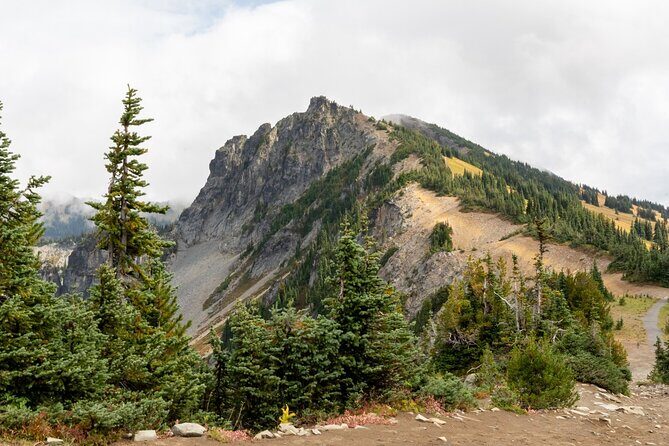 Self Guided Driving Audio Tour of Mount Rainier National Park - The Experience: What Travelers Say