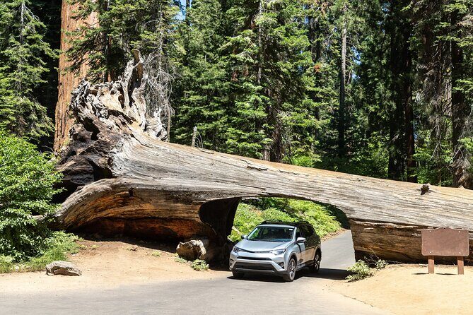 Self Guided Driving Audio Tour of Redwood National and State Park - Final Thoughts