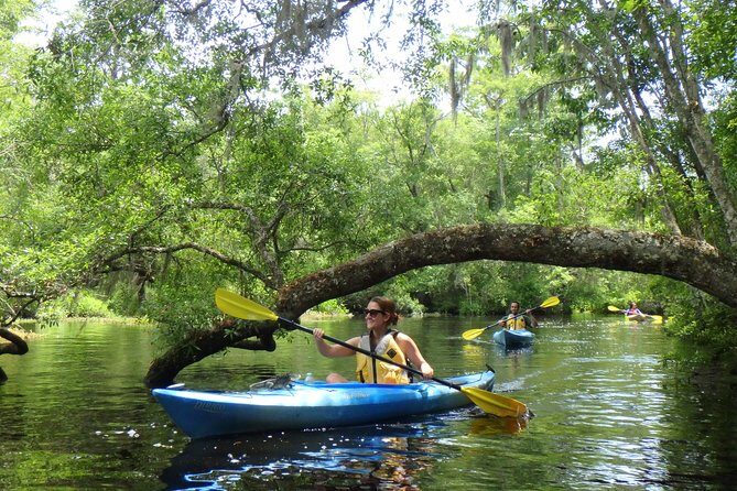 Self Guided Family Friendly Kayak Rental Experience Old Florida - An In-Depth Look at the Old Florida Kayaking Experience
