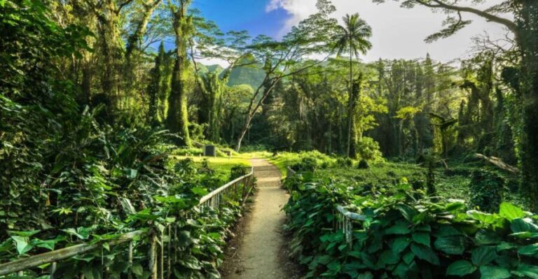 Self Guided Hike Trail to Nature Walk & Waterfall - An In-Depth Look at the Experience