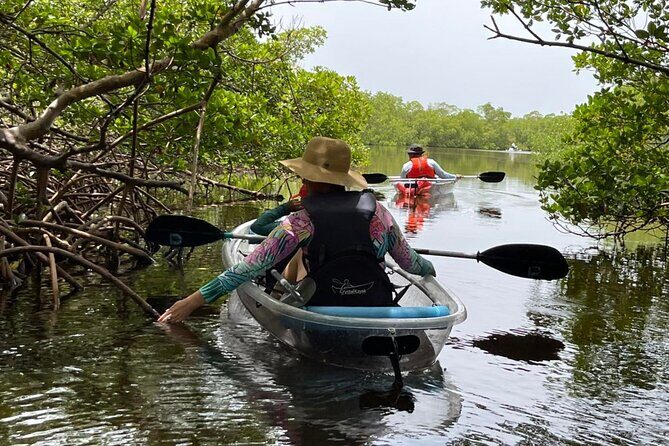 Self-Guided Island Tour: CLEAR/Standard Kayak, SUP-Bonita Springs - Final Thoughts: Who Is This Tour Perfect For?
