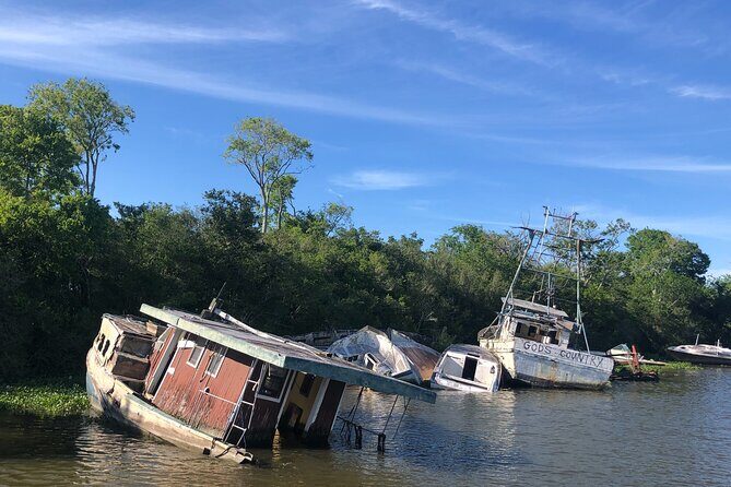 Self Guided Kayak Bayou Swamp Tour - The Value of This Experience