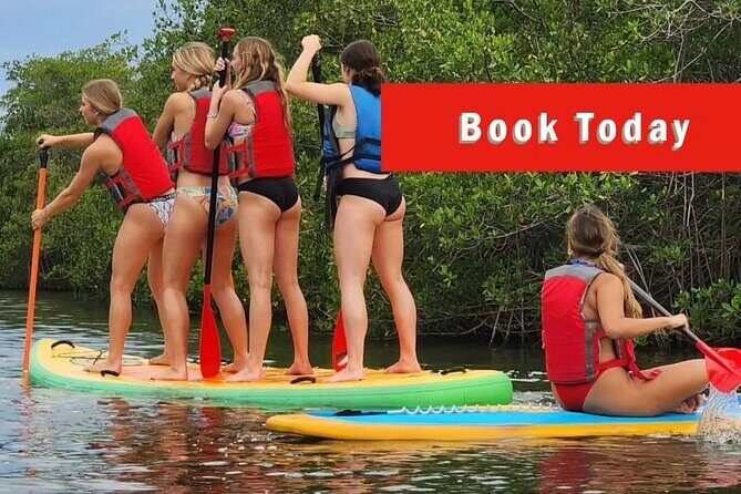 Self-Guided Kayaking Manatee and Dolphin Tour - Practical Tips for Participants