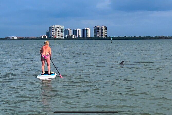 Self Guided Standup Paddle Board EcoTour -Bonita Springs - The Experience from a Paddler’s Perspective