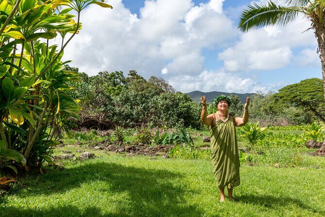 Semi Private Honolulu Historical Tour - Practical Details and Tips