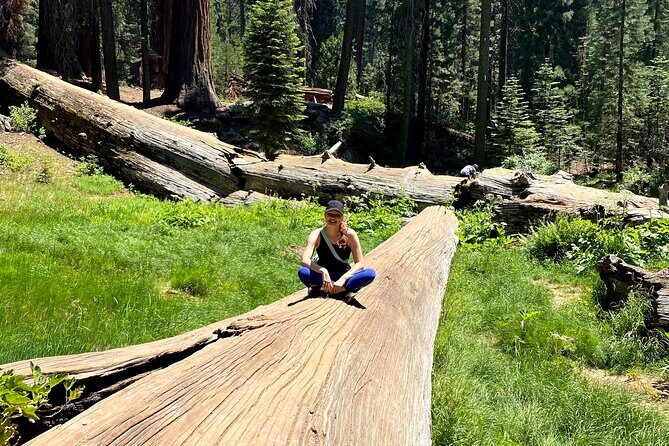 Semi Private Tour to Sequoia National Park with Lunch - What’s Included and How It Adds Value