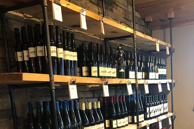 Seneca Lake South Wine Tastings Tour - Detailed Breakdown of the Itinerary