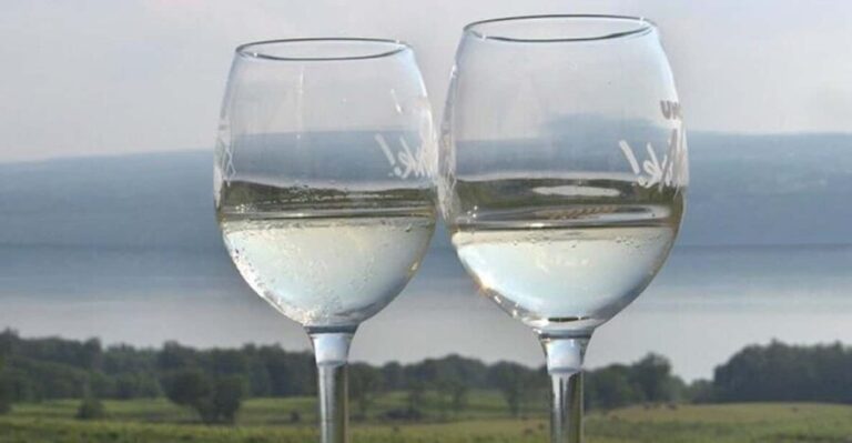 Seneca Lake: Wine Tasting Tour - The Itinerary in Detail