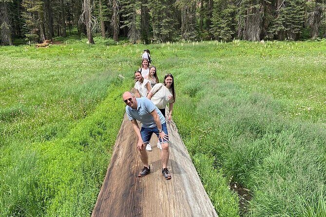 Sequoia National Park Small Group Tour from Three Rivers
