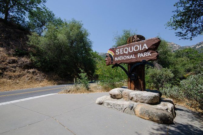 Sequoia Park Private Tour - The Sum Up: The Best Fit for This Tour