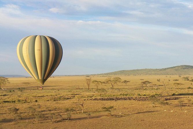Serengeti Balloon Safari and authentic bush breakfast - The Itinerary in Detail
